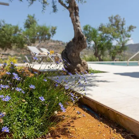 Aggeliki With Private Swimming Pool Villa